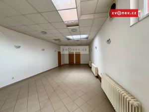 Prodej rodinného domu, Bystřice pod Hostýnem, 420 m2