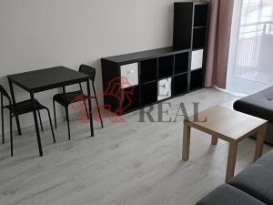 Pronájem bytu 1+kk, Praha - Třebonice, U Radosti, 32 m2