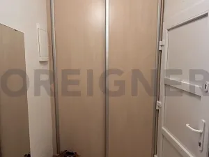 Pronájem bytu 2+kk, Praha - Vinohrady, Písecká, 46 m2