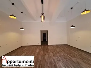 Pronájem obchodního prostoru, Praha - Nové Město, Petrská, 63 m2