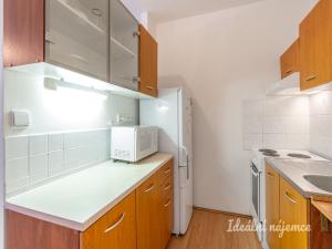 Pronájem bytu 1+kk, Praha - Bohnice, Bukolská, 29 m2