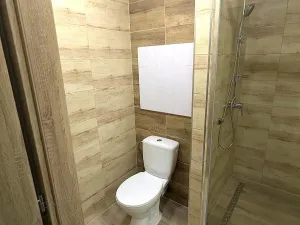 Pronájem bytu 2+kk, Ústí nad Labem, Mlýnská, 55 m2