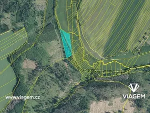 Prodej podílu lesa, Velká Bíteš, 1431 m2