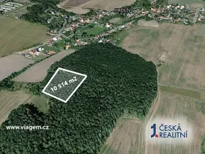 Prodej podílu lesa, Hrdlív, 1051 m2