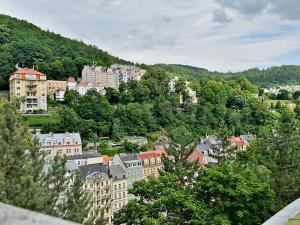 Prodej bytu 3+kk, Karlovy Vary, Zámecký vrch, 102 m2