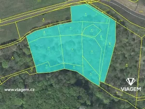 Prodej podílu lesa, Prackovice nad Labem, 1307 m2