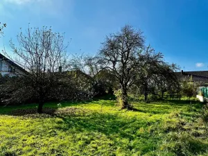 Prodej pozemku pro bydlení, Blížejov, 1462 m2