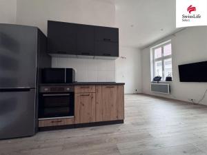 Pronájem bytu 1+kk, Chomutov, Klostermannova, 41 m2