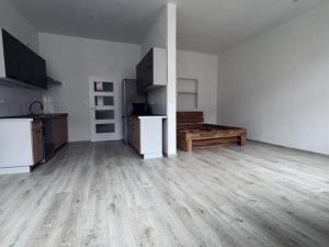 Pronájem bytu 1+kk, Chomutov, Klostermannova, 41 m2