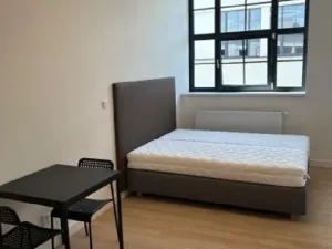 Pronájem bytu 1+kk, Praha - Vysočany, Poděbradská, 28 m2