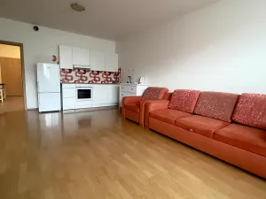 Pronájem bytu 1+kk, Praha - Záběhlice, Podle náhonu, 42 m2