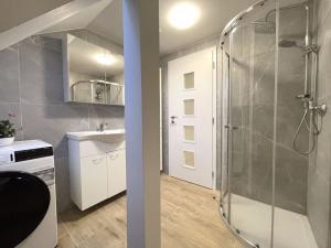 Pronájem bytu 1+kk, Olomouc, Pavlovická, 29 m2