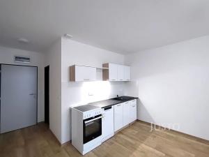 Pronájem bytu 1+kk, Čížová, 27 m2