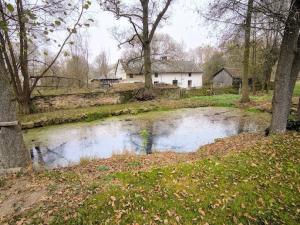 Prodej rodinného domu, Nečtiny - Březín, 200 m2