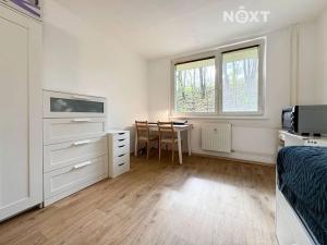 Pronájem bytu 1+kk, Brno, Jedovnická, 20 m2