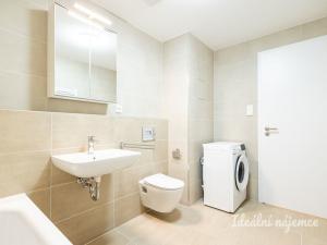 Pronájem bytu 1+kk, Praha - Žižkov, Olgy Havlové, 32 m2