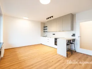 Pronájem bytu 1+kk, Praha - Žižkov, Olgy Havlové, 32 m2