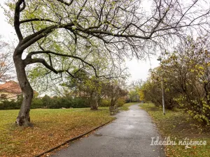 Pronájem bytu 1+kk, Praha - Žižkov, Olgy Havlové, 32 m2