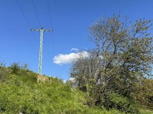 Prodej lesa, Hodkovice nad Mohelkou - Žďárek, 11675 m2