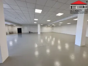Pronájem skladu, Ostrava, Slovenská, 482 m2