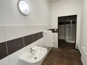 Pronájem skladu, Ostrava, Slovenská, 482 m2