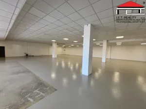 Pronájem skladu, Ostrava, Slovenská, 482 m2