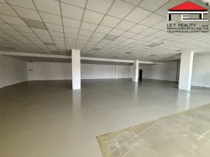 Pronájem skladu, Ostrava, Slovenská, 482 m2