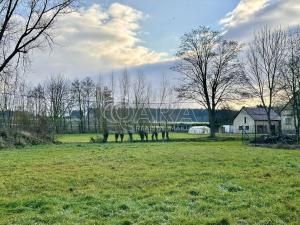 Prodej pozemku pro bydlení, Střížovice, 2290 m2