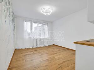 Prodej bytu 1+kk, Písek, 17. listopadu, 20 m2