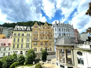 Prodej ubytování, Karlovy Vary, Tržiště, 1316 m2