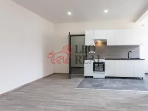 Prodej bytu 2+kk, Kladno - Kročehlavy, Kročehlavská, 43 m2
