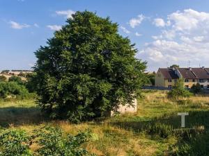 Prodej pozemku pro bydlení, Výšovice, 5979 m2