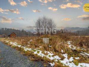 Prodej louky, Dolní Moravice, 343 m2