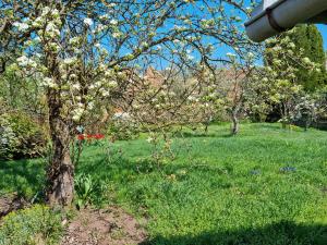Prodej rodinného domu, Zlonice, Riegrova, 187 m2