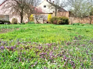 Prodej rodinného domu, Zlonice, Riegrova, 187 m2