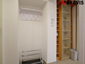 Pronájem bytu 1+kk, Brno - Černovice, Bolzanova, 22 m2