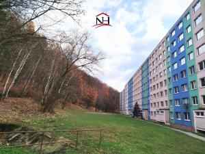 Prodej bytu 4+1, Litvínov - Janov, Luční, 79 m2