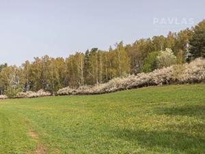 Prodej louky, Kájov, 78161 m2