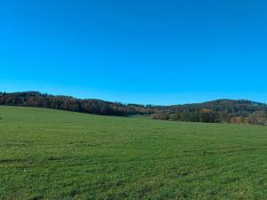 Prodej rodinného domu, Třemešná - Rudíkovy, 2531 m2