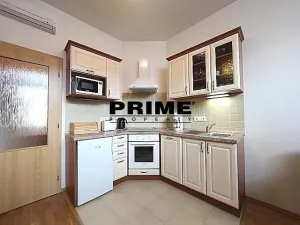 Pronájem bytu 2+kk, Praha - Vinohrady, Na Kozačce, 42 m2