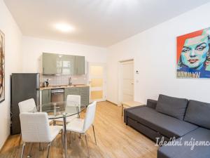 Pronájem bytu 2+kk, Praha - Vinohrady, Písecká, 52 m2