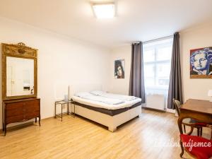 Pronájem bytu 2+kk, Praha - Vinohrady, Písecká, 52 m2