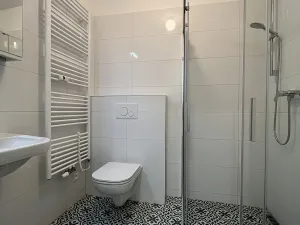 Pronájem bytu 1+kk, Brno, Antonínská, 30 m2