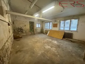 Prodej rodinného domu, Držkov, 300 m2