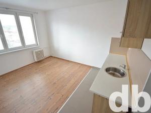 Pronájem bytu 1+kk, Nové Sedlo, Sadová, 20 m2