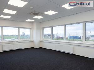 Pronájem výrobních prostor, Ostrov, 38800 m2