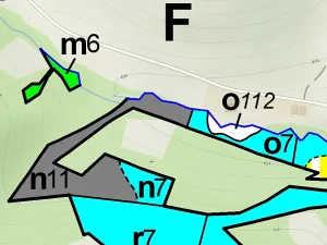 Prodej lesa, Huslenky, 13656 m2