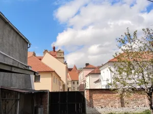 Prodej rodinného domu, Horšovský Týn, Žižkova, 517 m2