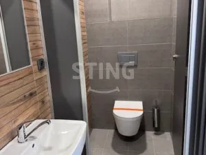 Pronájem obchodního prostoru, Český Těšín, Jablunkovská, 481 m2