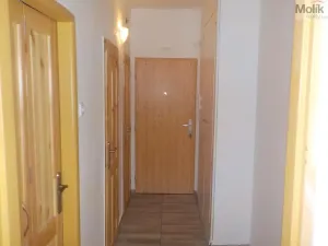 Prodej bytu 3+1, Teplice - Trnovany, Skupova, 70 m2